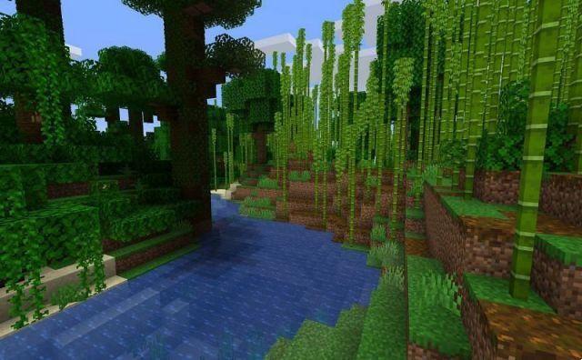 Cómo encontrar un bioma de la jungla en Minecraft