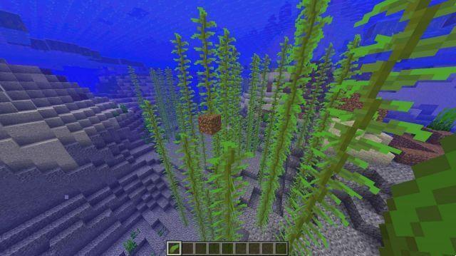 3 maneiras mais fáceis de obter algas na atualização 1.18 do Minecraft