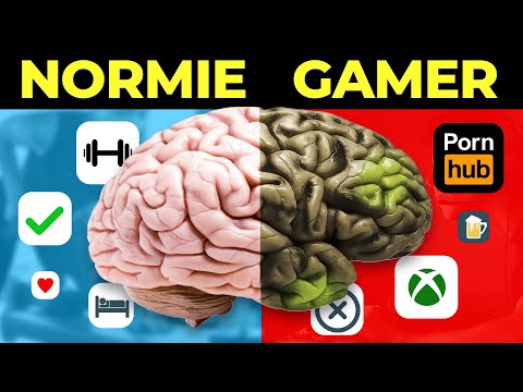 Come il gioco influisce sul cervello