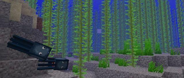 Onde encontrar algas no Minecraft