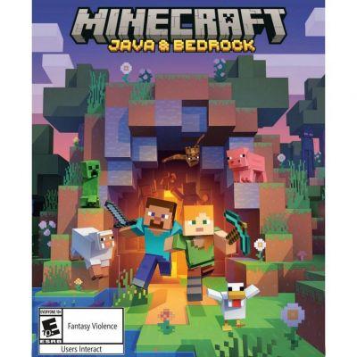 Edición Minecraft Java y Bedrock - PC