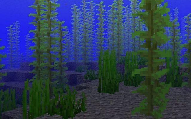 Como construir uma fazenda de algas no Minecraft