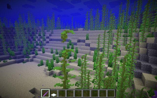 Come costruire una fattoria di alghe in Minecraft