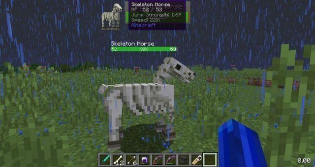 O que você alimenta um cavalo esqueleto no Minecraft?